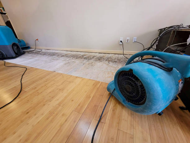 Professional Sewage Cleanup technician working in Waupun, WI